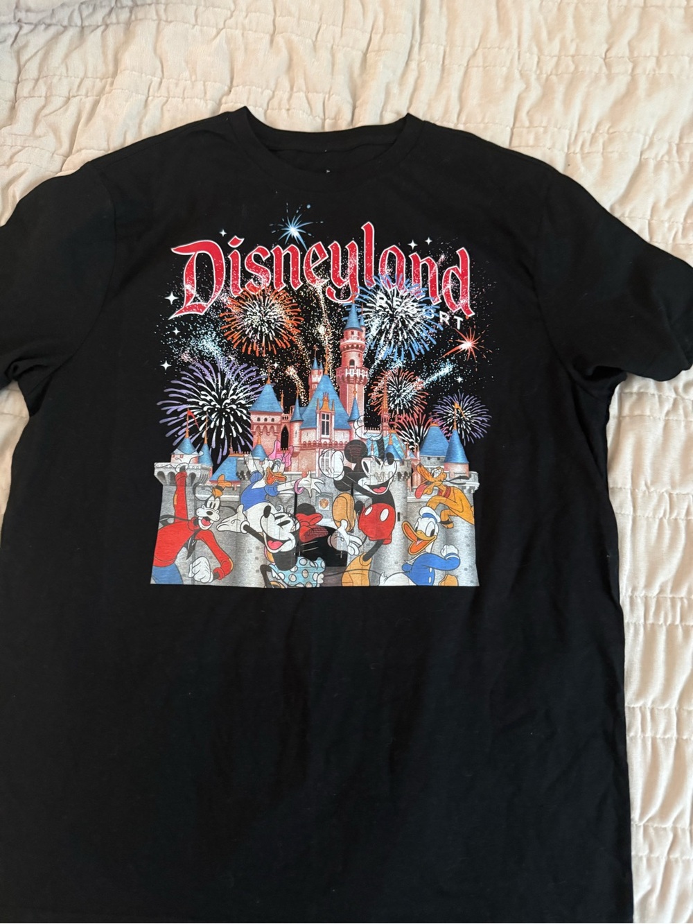 Disneyland Black Graphic Tee with Castle & Characters